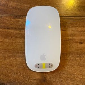 Apple magic mouse